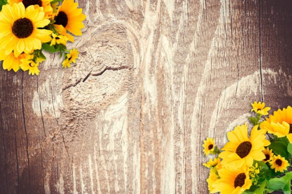 The Quiet Power of Rustic Wood Backgrounds Sunflower Floral in a Screen-Saturated World